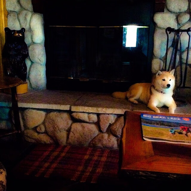 九游娱乐中心-_多国对抗赛：国际合作与友谊的象征_，国际联合倡议多边合作组织