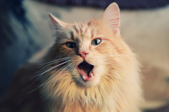 _比赛中的感人瞬间:逆境中的坚韧与拼搏_,比赛中激励人心的词语