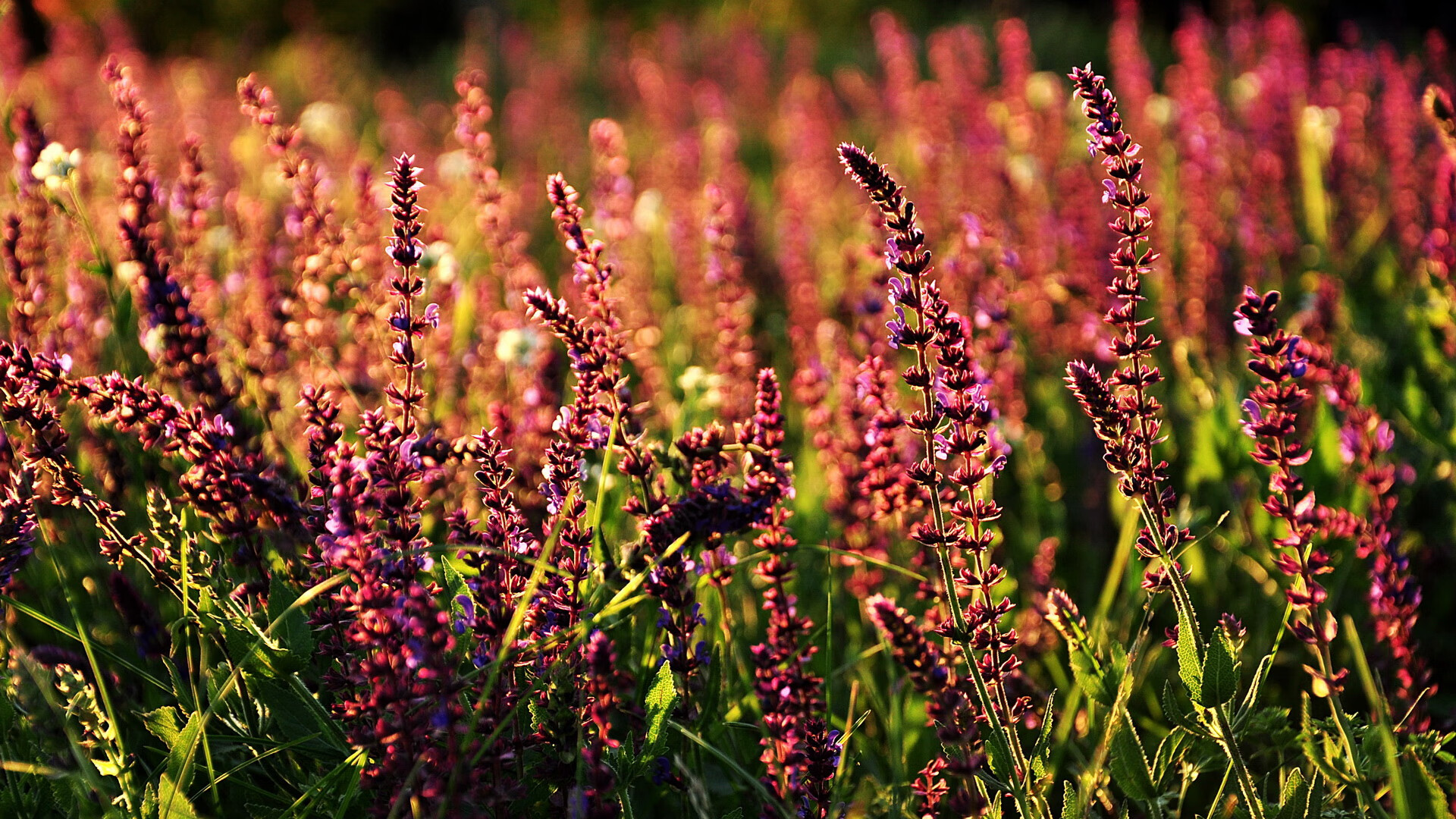 九游9游-_热火持续升温，攻防两端皆出色_，热火防守效率