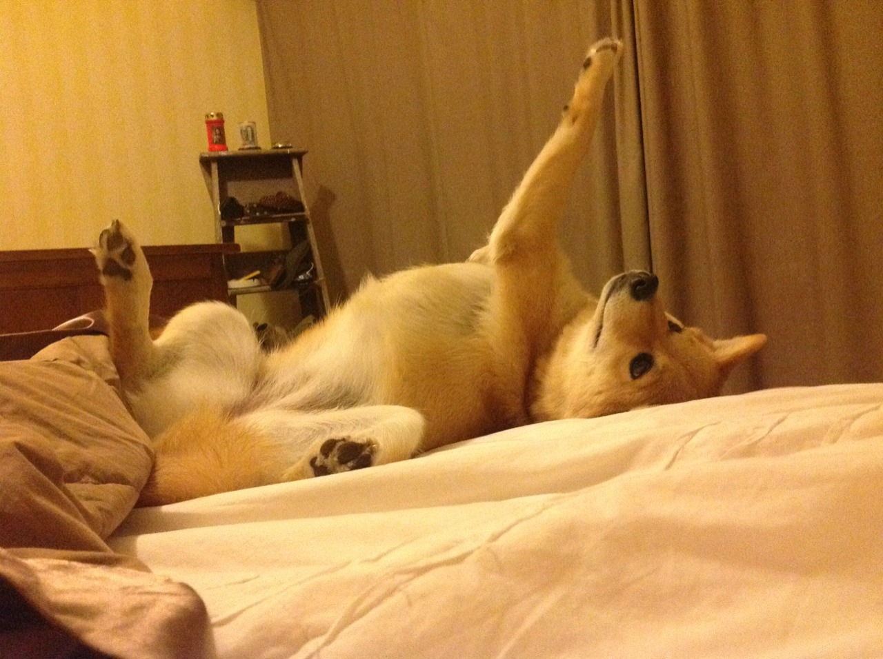 “战术新玩法：联盟中的创新打法大揭秘”，联盟新模式