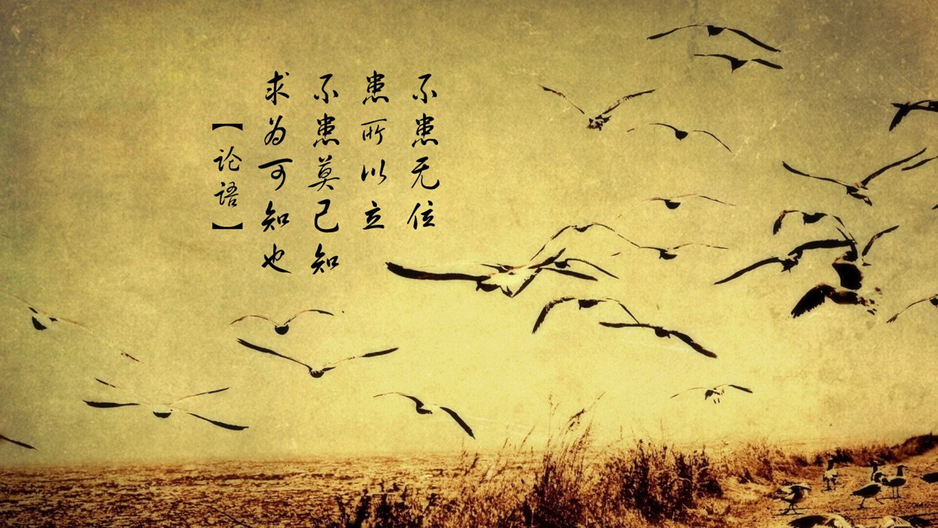 “西甲焦点:领头羊连续保持不败金身”,领头羊指标详细介绍