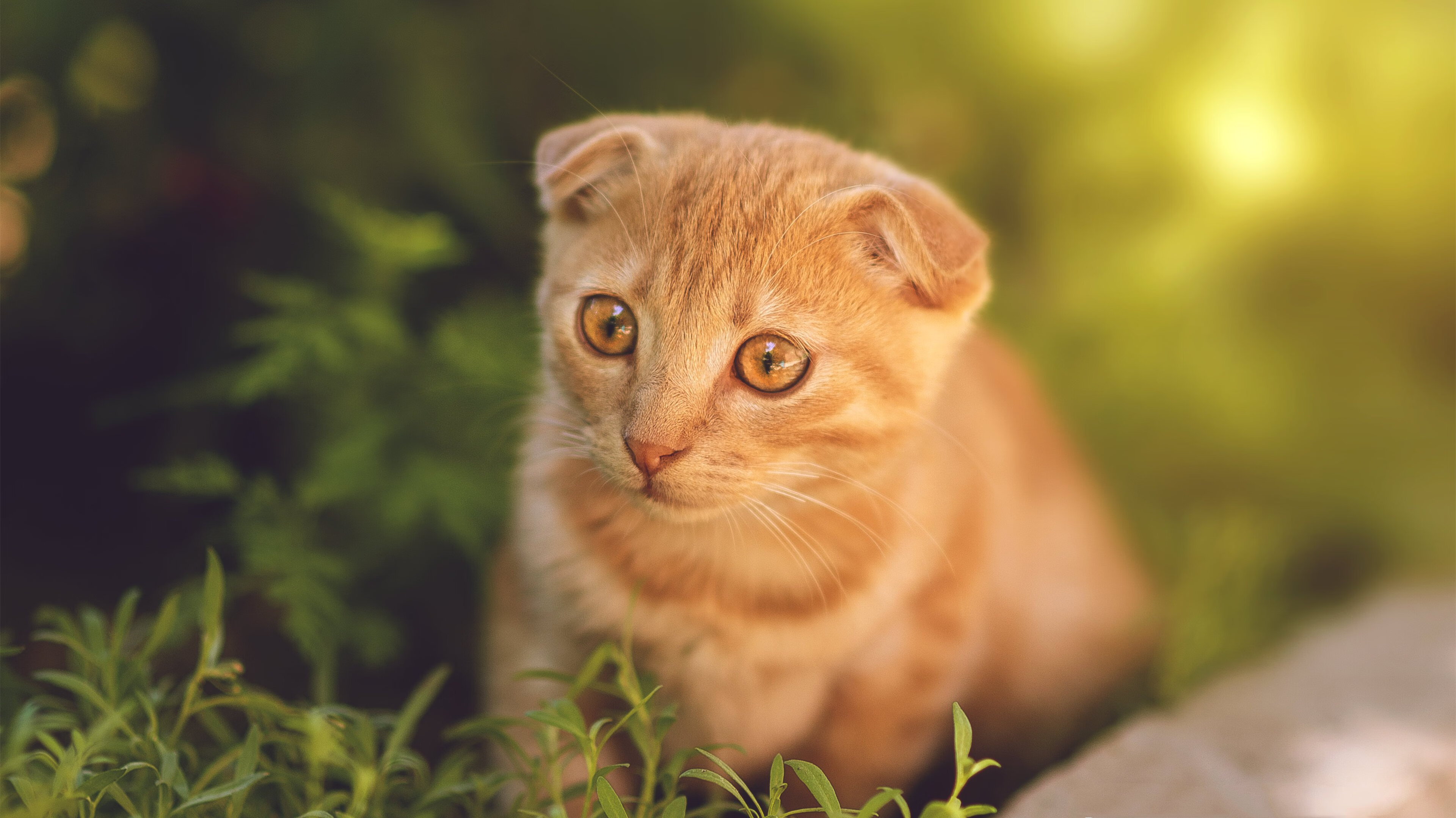 《Valorant国际冠军杯，惊天逆转点燃现场》，valorant国内战队