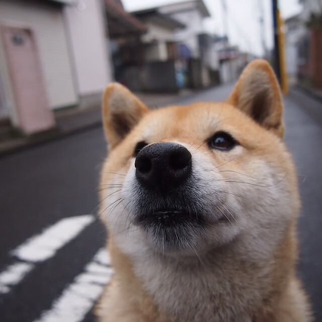 九游APP官网-中国足球的球员技术提升计划实施方案实施，中国足球球员规划