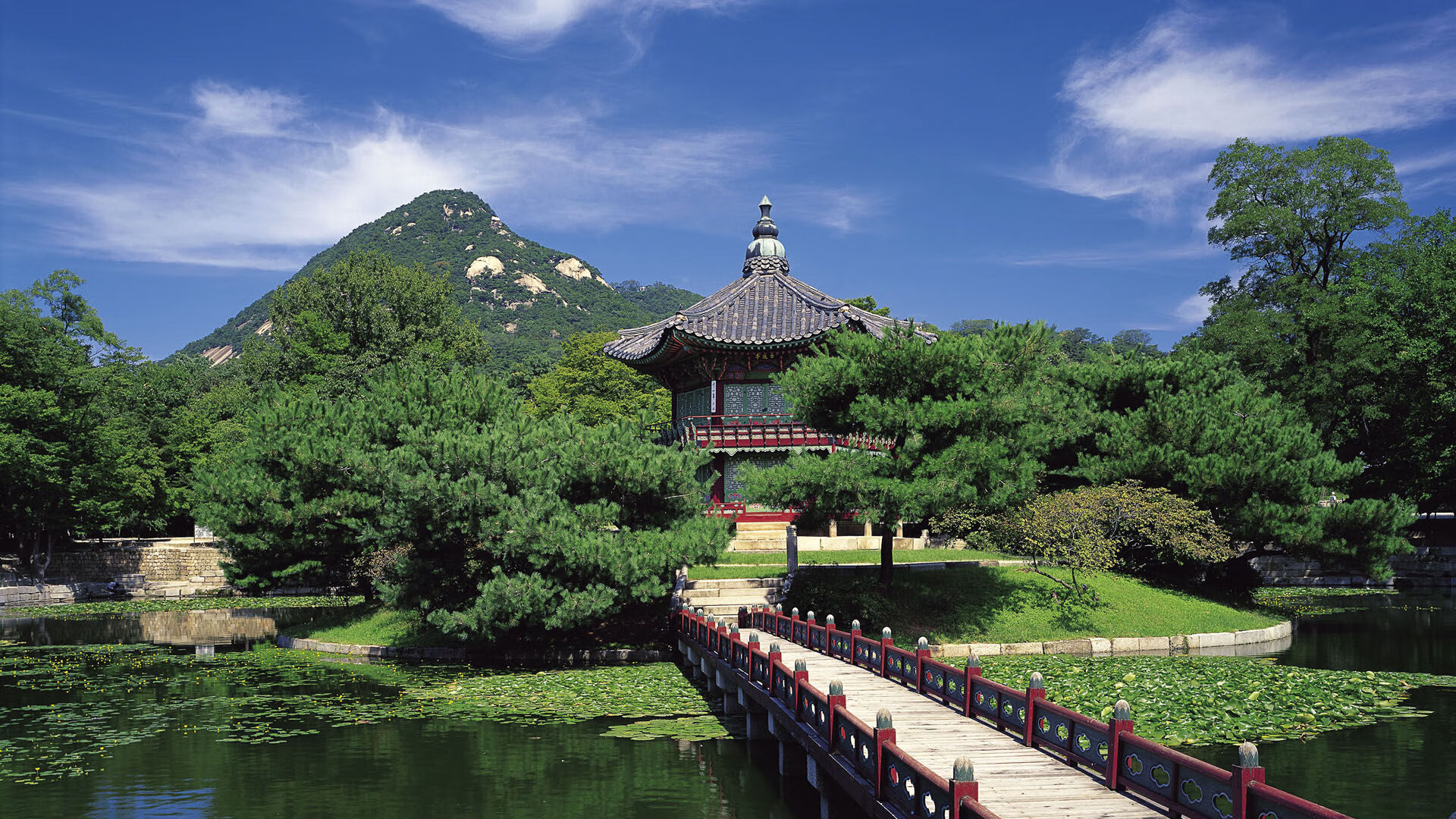 JIU YOU GAME-山东泰山中场球员发挥关键作用，山东泰山队球场