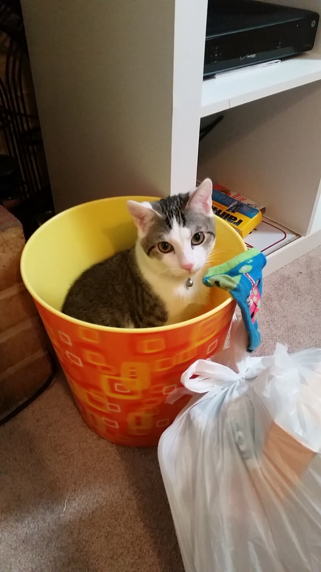 惊险一战:北京选手精湛技艺奏凯