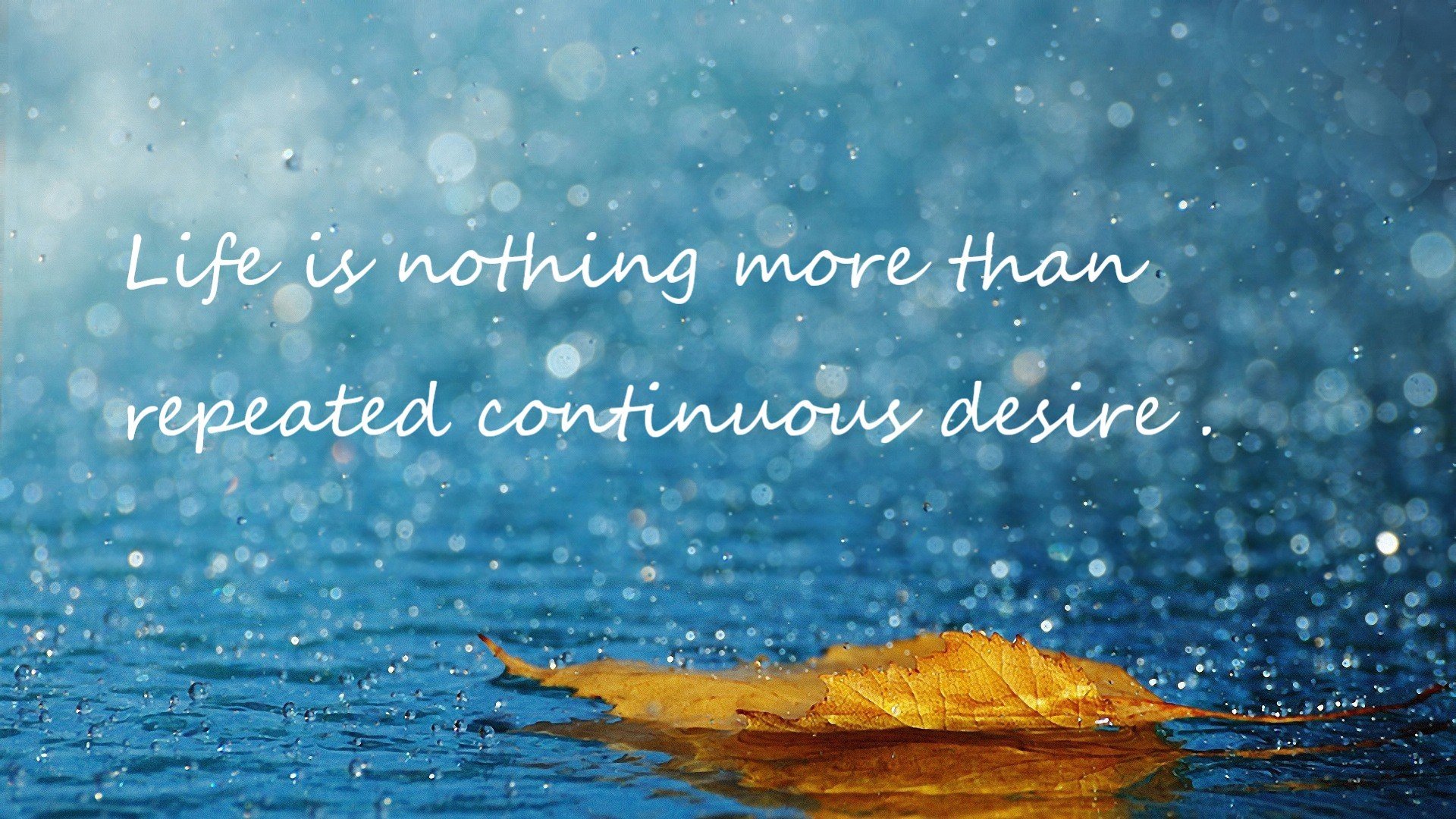 摩纳哥后防稳定性不佳，主帅或将调整战术，摩纳哥著名后卫