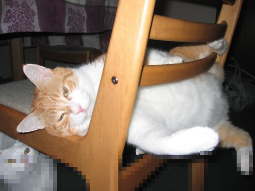 九游娱乐-热刺2-0狼队，豪取三连胜，热刺2_3狼队