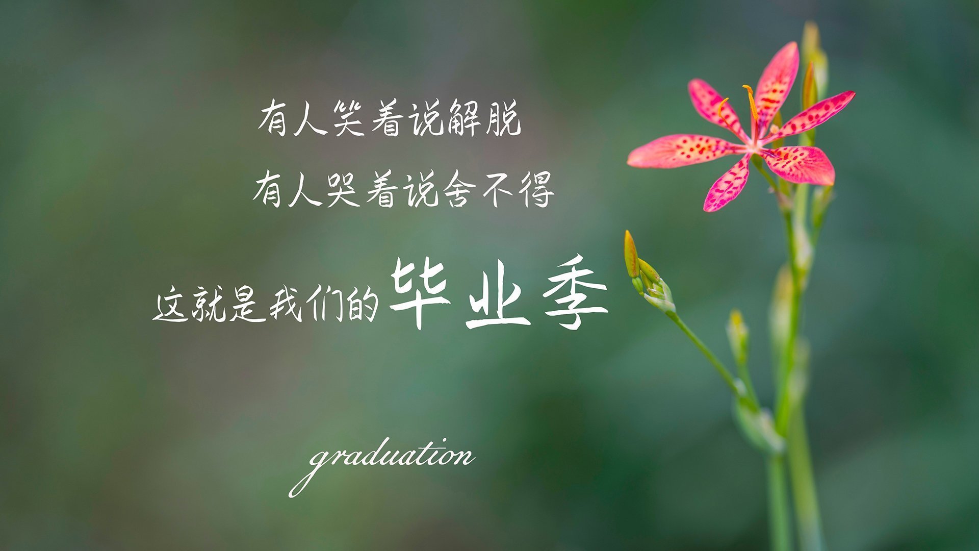 NBA球队快攻战术执行力与得分效率分析，nba快攻速度排名