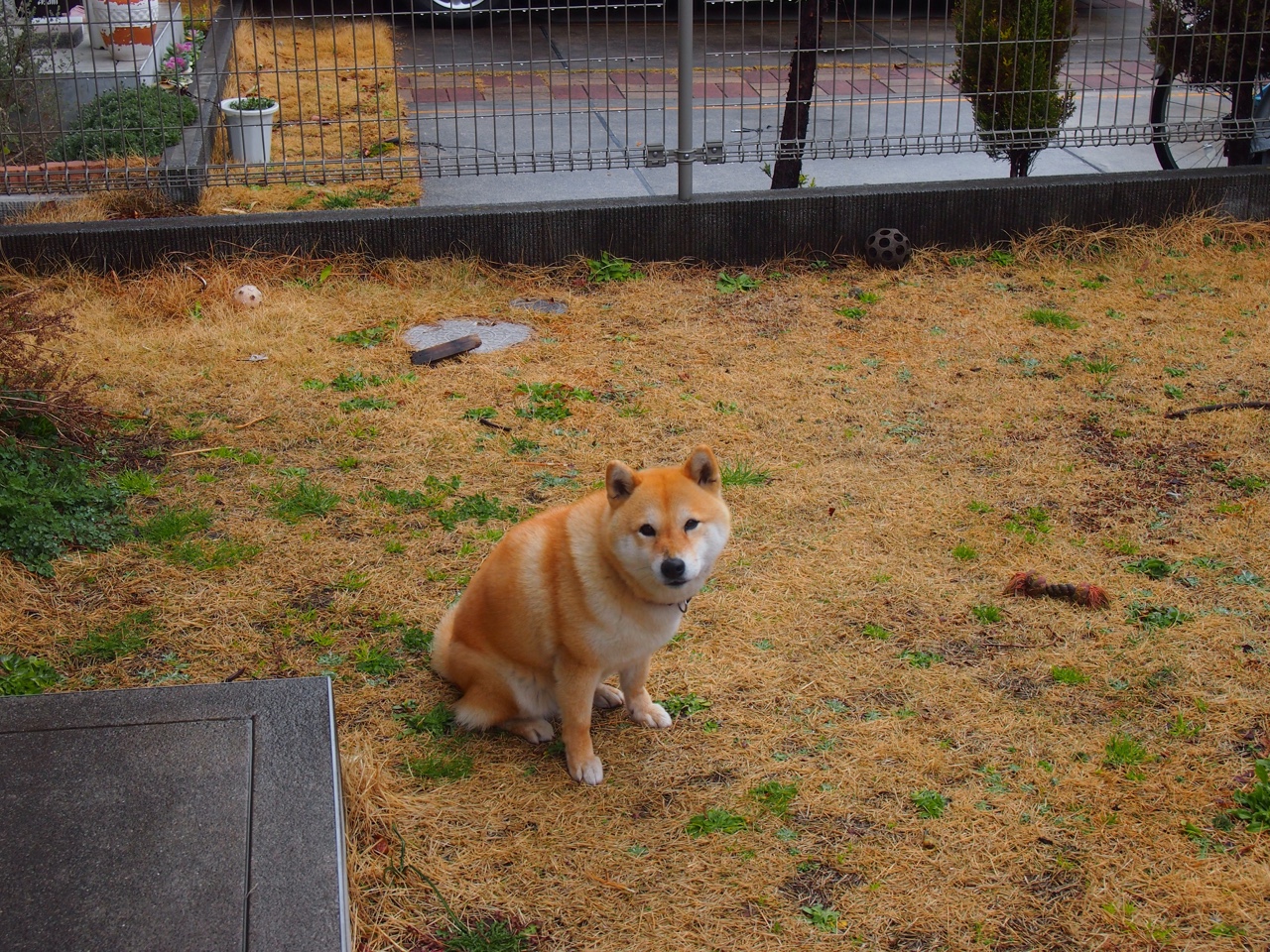 女子100仰美将再创佳绩，女子100仰泳