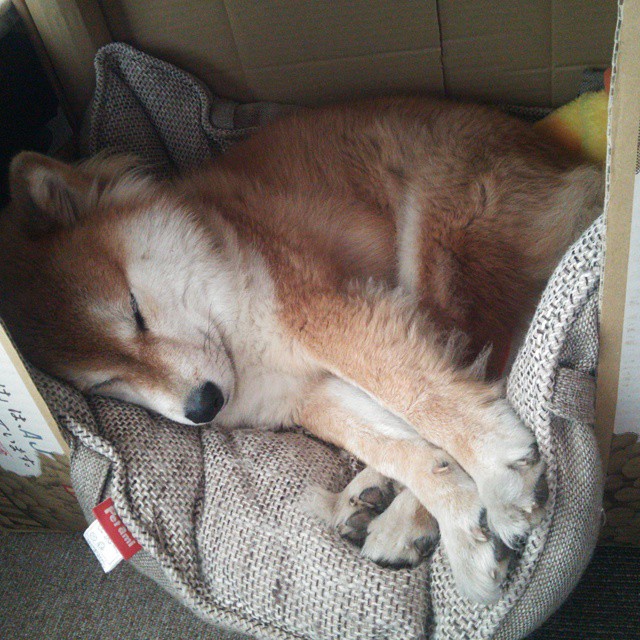 赫塔菲构建稳固防守墙化解多次危机，赫塔菲ds