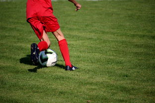 九游娱乐官网 (jiuyou)-CBA球队加强后勤保障体系优化训练和比赛准备，cba后备联赛