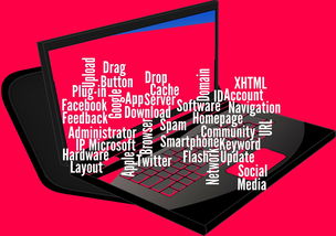 九游sports-CBA开展球员社交媒体管理课程提高职业素养，运动员社交媒体