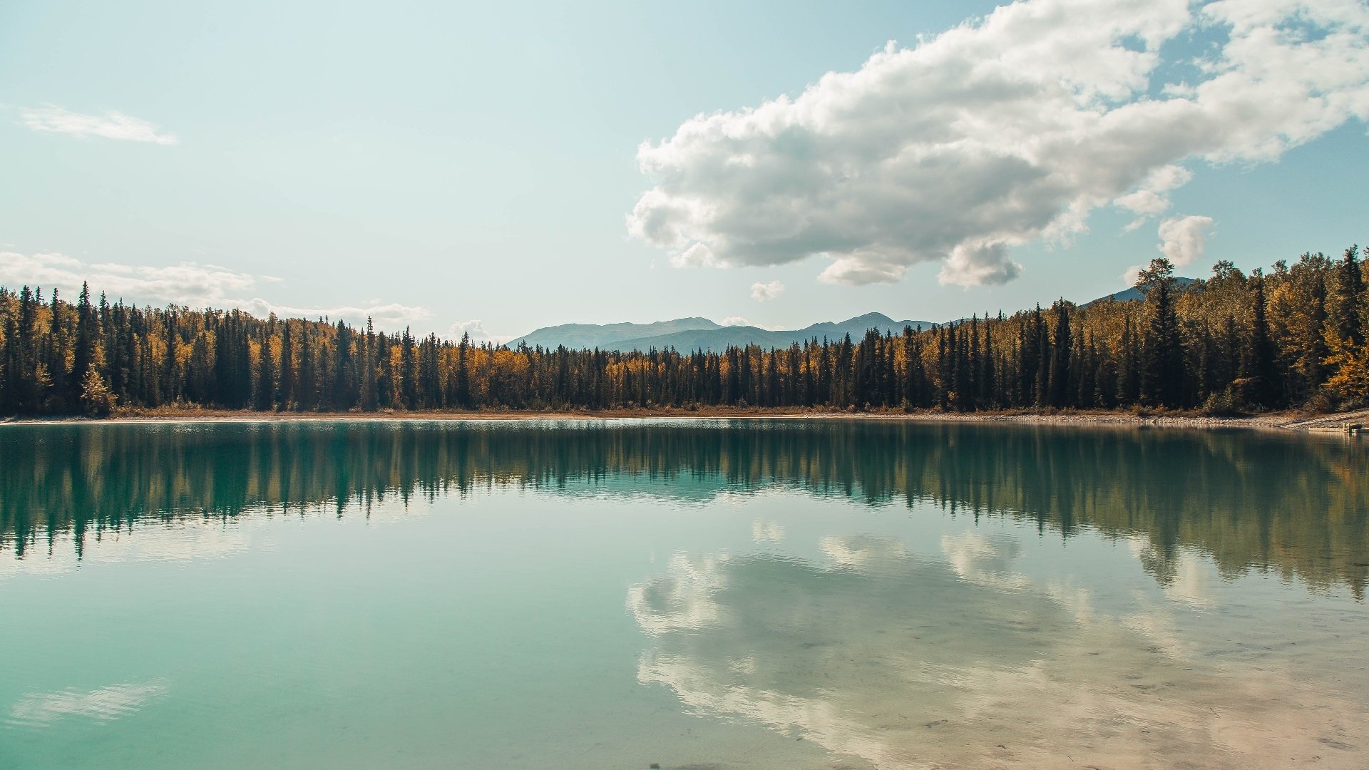 全球多地举办足球文化节,促进体育文化交流,足球文化节的标志