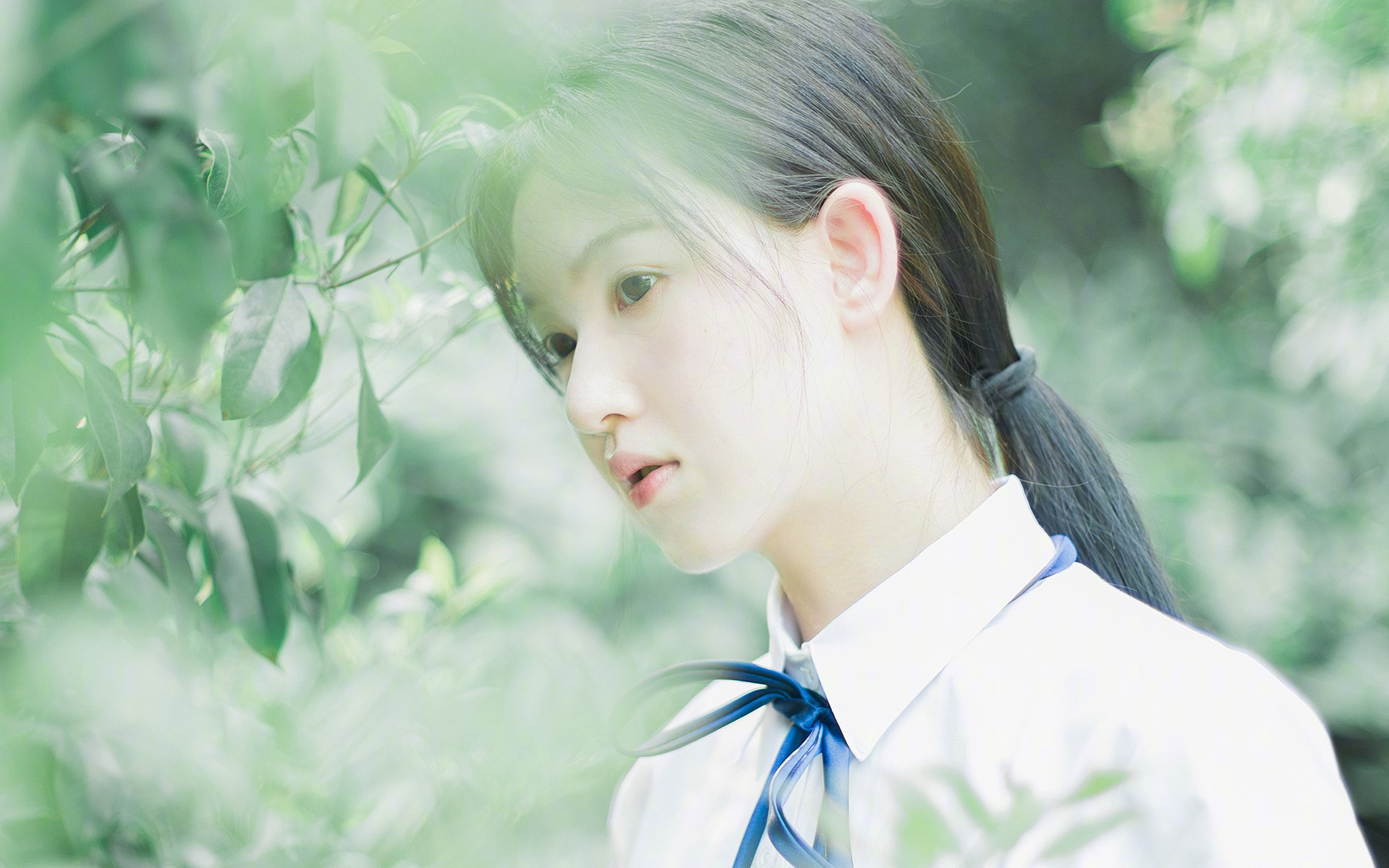 新闻中心公告体育企业入驻国家平台资质审核流程，体育公司资质包括哪些资料