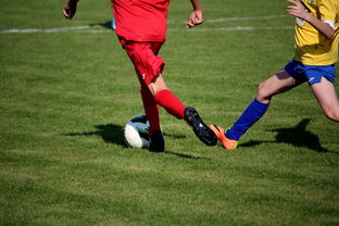 九游官网下载电脑版-世界马拉松大满贯赛事上海站开跑，世界马拉松大满贯赛事上海站开跑时间