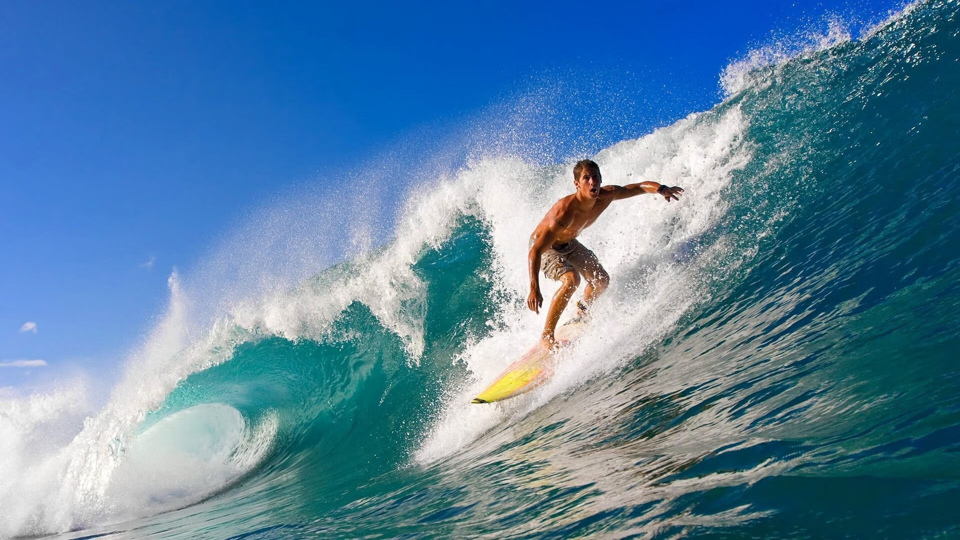 九游官网pc-体育新闻中心承办体育赛事数字内容版权研讨会，体育赛事媒体手册