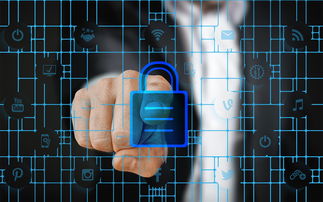 九游下载中心-马术运动进校园课程体系初步建立，马术走进校园合作方案